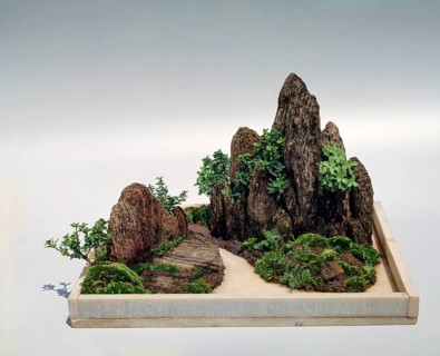 Bonsai