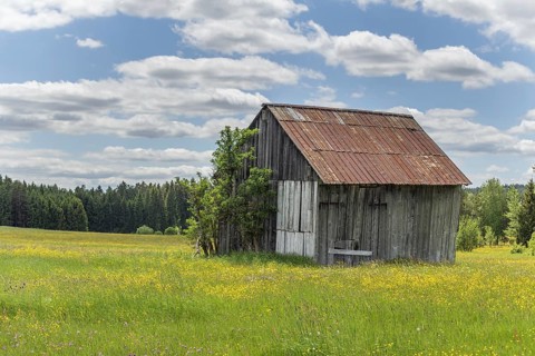 Hut in the nature reserve of Rotenbach meadows in High Black Forest. Friedenweiler