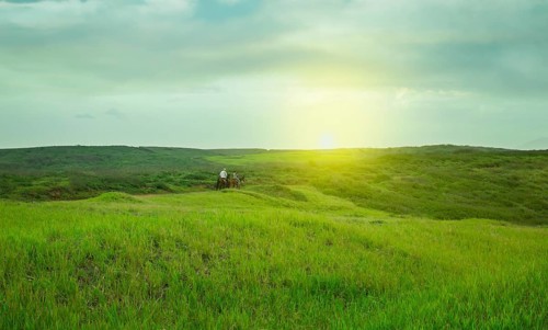 Two people riding in the field