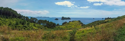 Coast at Cathedral Cove Walk