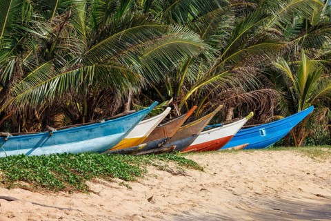 Tropical beach with row of fishing boats on sand