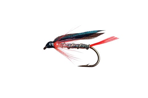 Fishing Fly