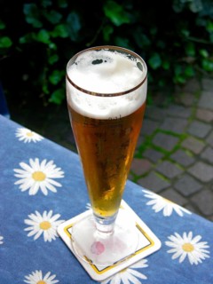 Fresh beer in a glass