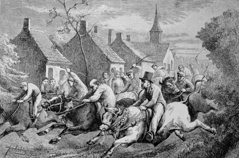 The Ox Races in Braeschaet