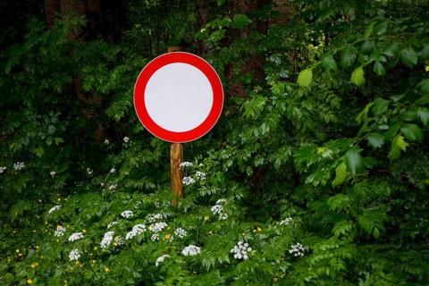Verkehrsschild Durchfahrt Verboten steht im Gebuesch am Waldrand