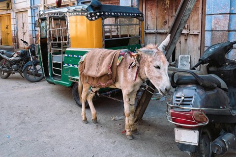 Means of transport in India