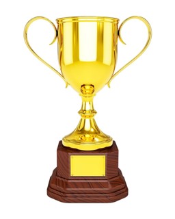 3d rendering of gold trophy cup isolated on white background