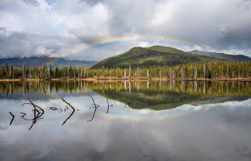 Rainbow in dark clouds over a forest