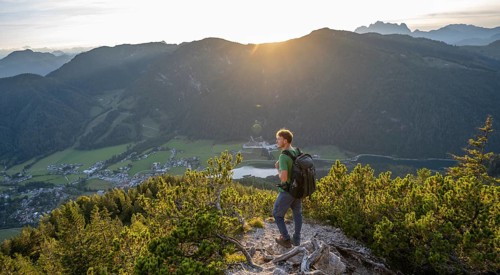 Hiker standing on hiking path between mountain pines