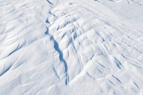 Snowdrift
