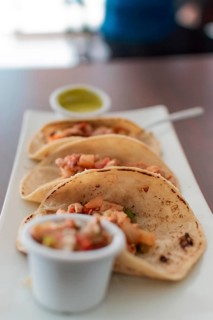 Close up of mexican chicken tacos
