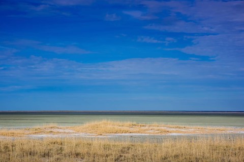 Landscape at the edge of the salt pan