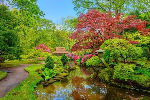 Little Japanese garden after rain