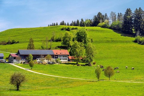 Baurernhof with solar roof in Fruehlingswiesen near Stiefenhofen