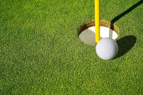 Close-up of golf course green
