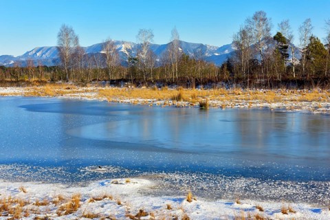 Frozen moor pond with hoarfrost