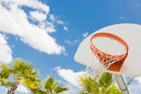 Abstract of community basketball hoop and net and palm trees against blue sky