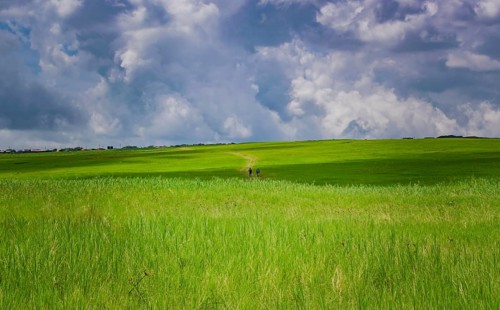 Two men walking in the distance of a field