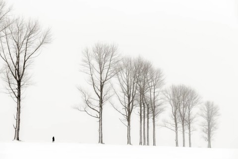 Einsame Frau laeuft in winterlicher Baum Allee