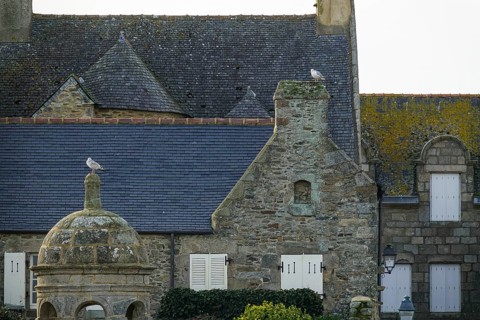 Chapel Saint-Ninien and old dwellings at the port of Roscoff