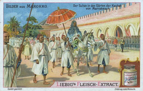 Series Pictures from Morocco