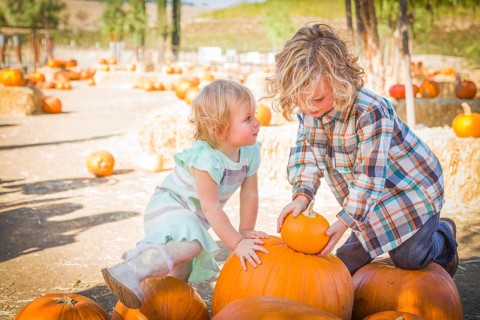 Sweet little boy plays with his baby sister in a rustic ranch setting at the pumpkin patch
