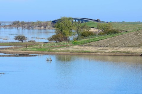 Bridge of the Ruta Nacional 174 on the Rio Parana