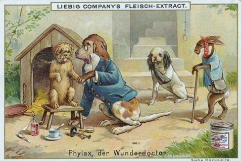 Series of funny animal depictions