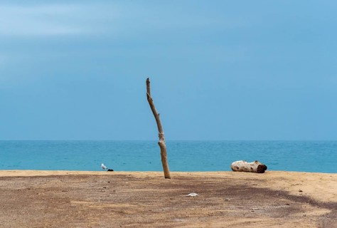 Wooden pole and driftwood on deserted beach
