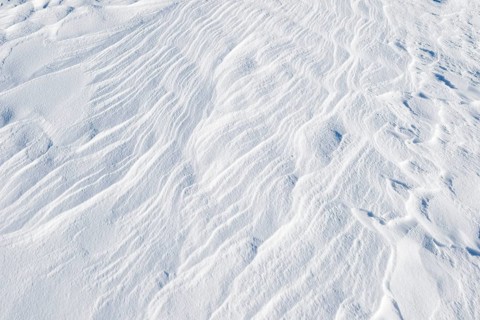 Snowdrift