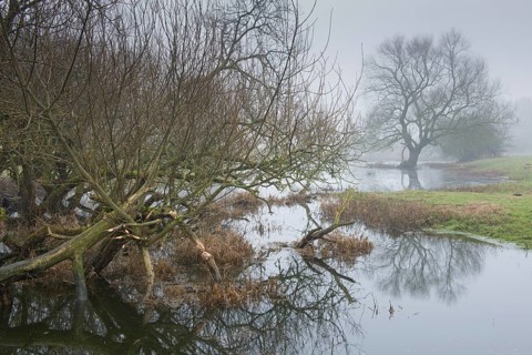 back water of the Ems