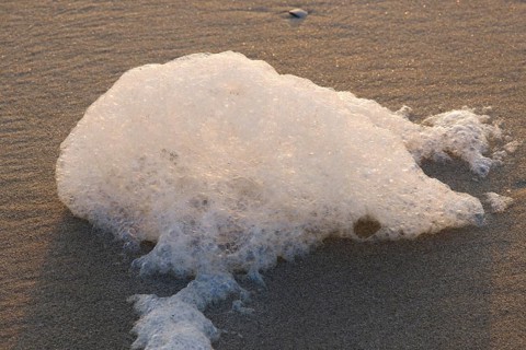 Schaum am Strand