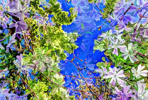 Flowers creative