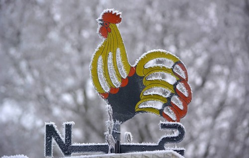 Wetterhahn mit Raureif