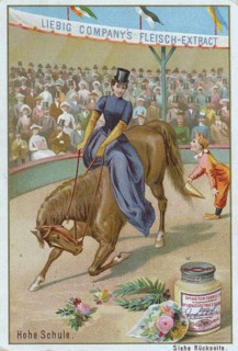 Series Horse Dressage in the Circus