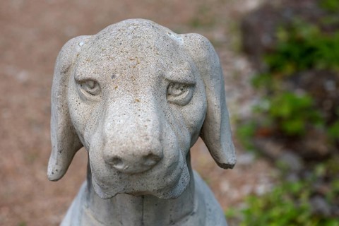 Head of a dog sculpture