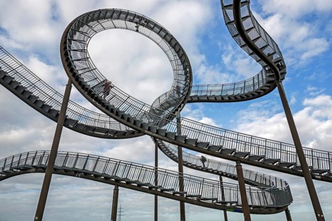 Tiger and Turtle