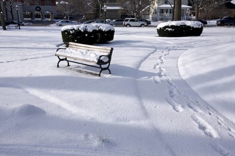 Empty snowy bench in chicago park after winter snow