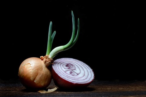 Sprouting common onion