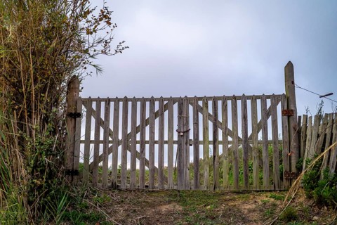 Wooden gate with a padlock leading to the field