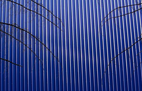 Blick durch den Wald auf eine Fassade einer blauen Fabrikshalle
