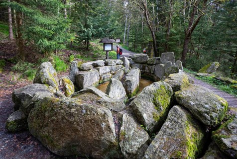 Hikers at the Kneipp treading pool on the Moorwald adventure trail