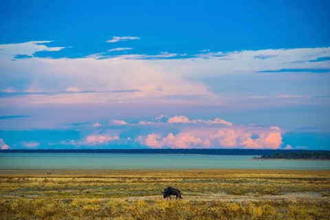 Landscape at the edge of the salt pan in the morning light