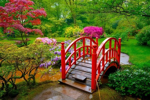 Small bridge in Japanese garden