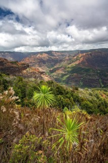 Waimea Canyon State Park