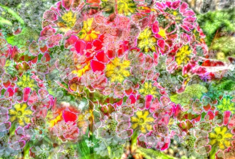 Flowers creative