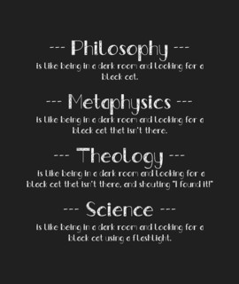 The Black Cat Analogy shows the difference between Philosophy