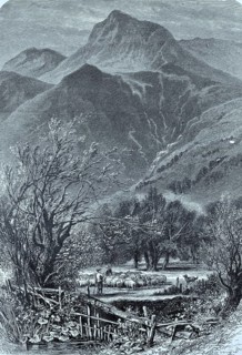 Flock of sheep in Great Langdale