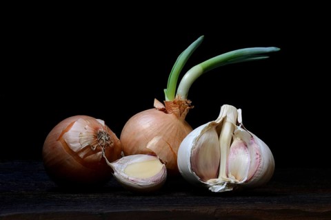 Sprouting common onion
