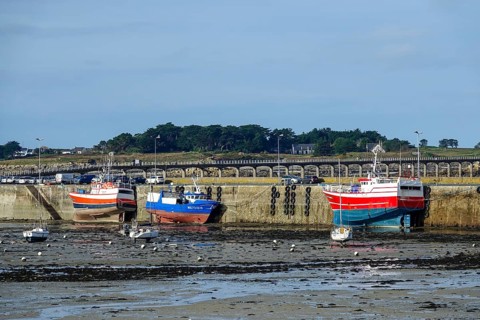Fishing boat in Roscoff harbour at low tide